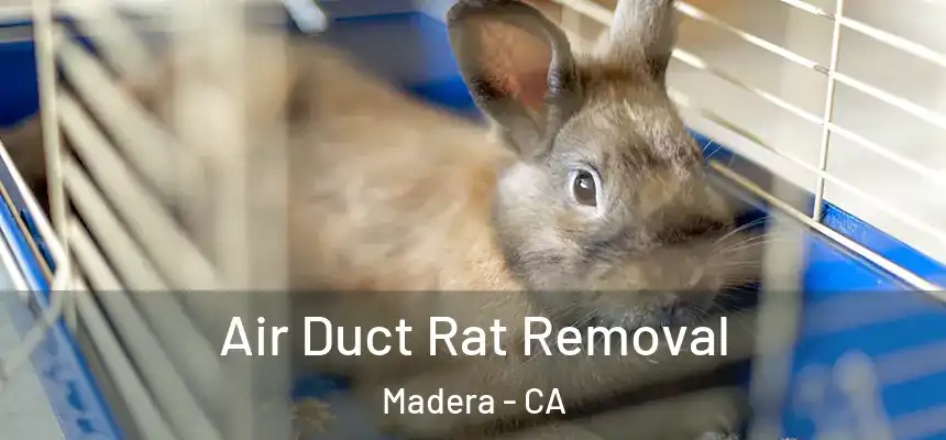  Air Duct Rat Removal Madera - CA