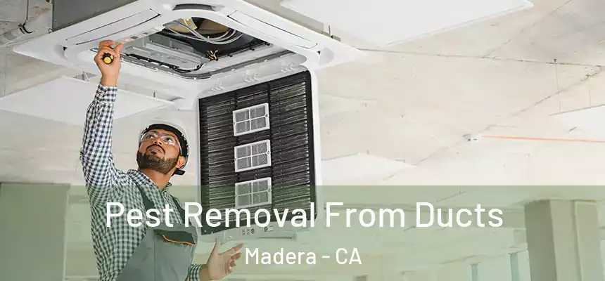 Pest Removal From Ducts Madera - CA