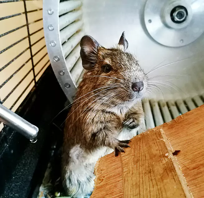 Why Homeowners & Businesses Trust Us Madera, CA