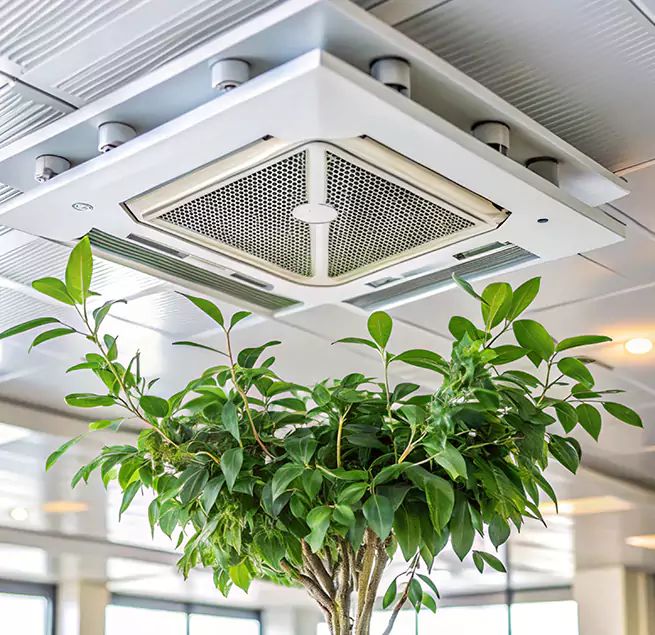 Why Homeowners & Businesses Trust Us in Madera, CA